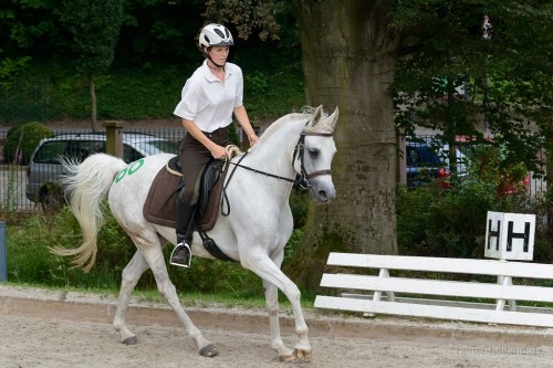 Poshiva 2014 CJP Nörthen-Hardenberg